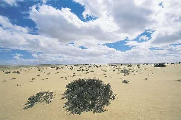 Clouds over an arid landscape, Qattara Depression, Libyan Desert, Sahara Desert, Egypt