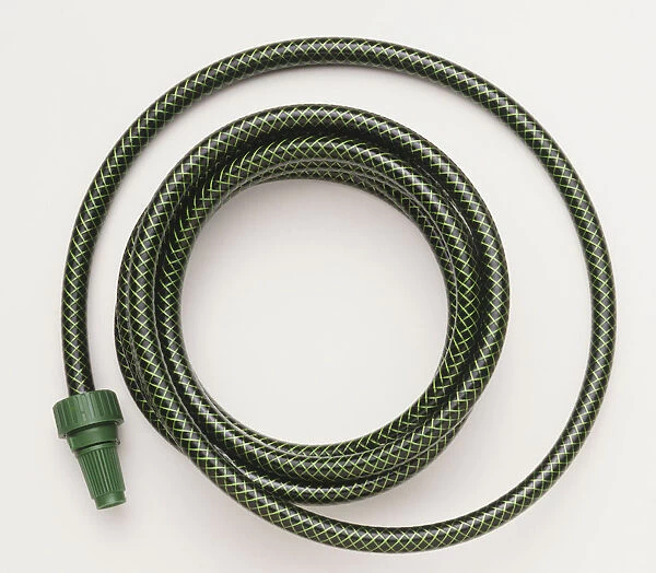 Coiled green garden hose, close up