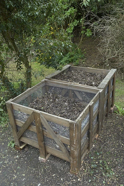 Two compost bins made from untreated lumber and chicken wire