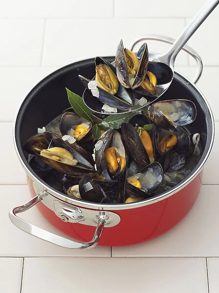 Cooked mussels in pan and spoon, close-up