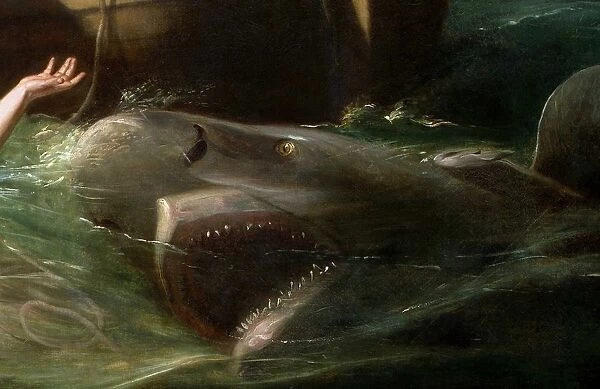 Copy of Watson and the Shark, by John Singleton Copley (1738 - 1815) American painter