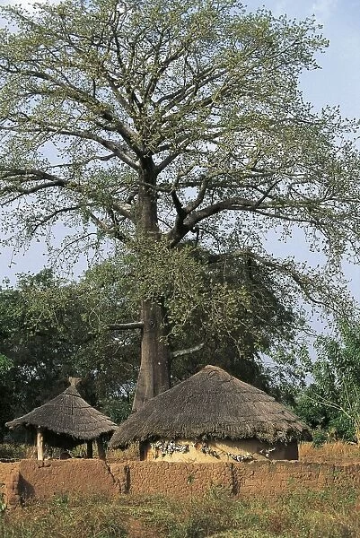 Cote d Ivoire - Northern Senufo area. Sacred building maison sacree