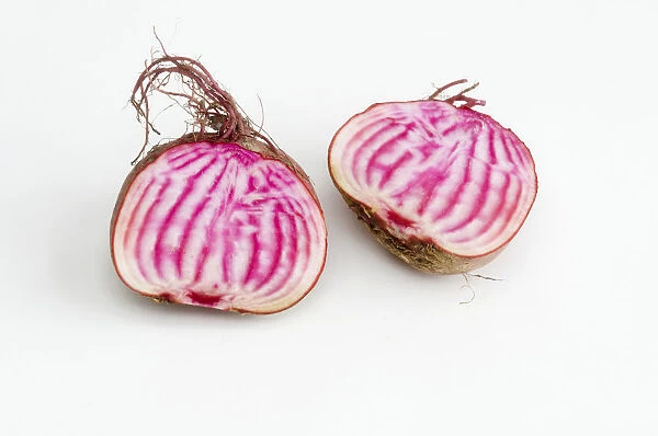 Cross section of beetroot (Chioggia)