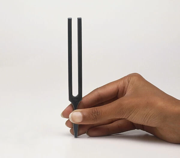 Demonstrating sound waves with a tuning fork and a microphone