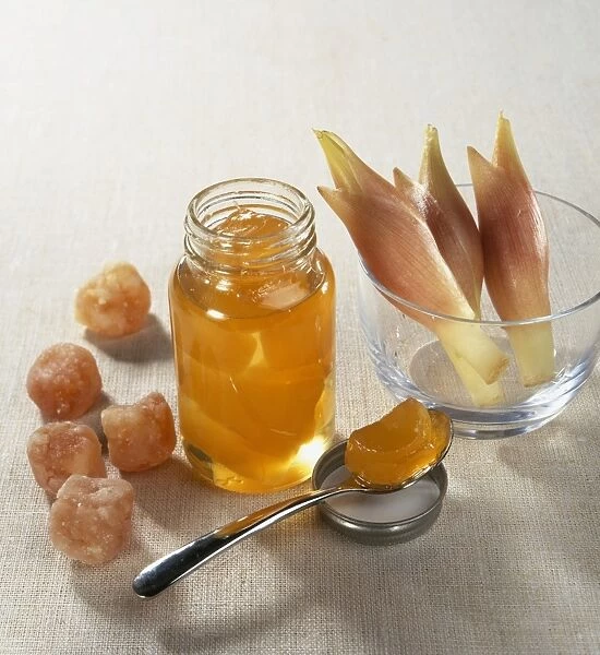 Different forms of Zingiber sp. (Ginger), crystallised, poached in syrup, and fresh buds from Zingiber mioga (Myoga)