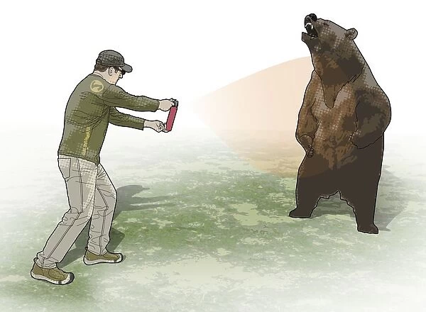 Digital illustration of man spraying aggressive bear with pepper spray
