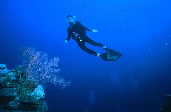 Diver swimming close to Coral