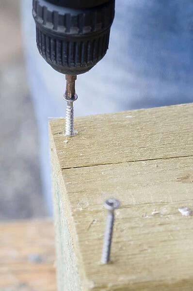 Drilling screws into wood with electric screwdriver, close-up