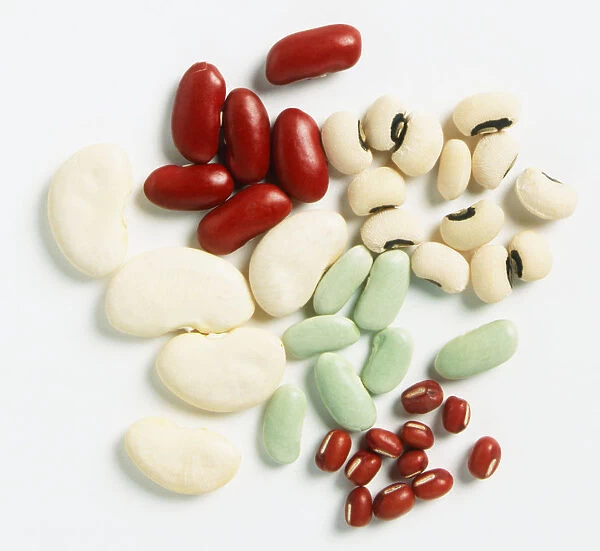 Dry Kidney Beans, Butter Beans, Adzuki Beans and Flageolet Beans, close up