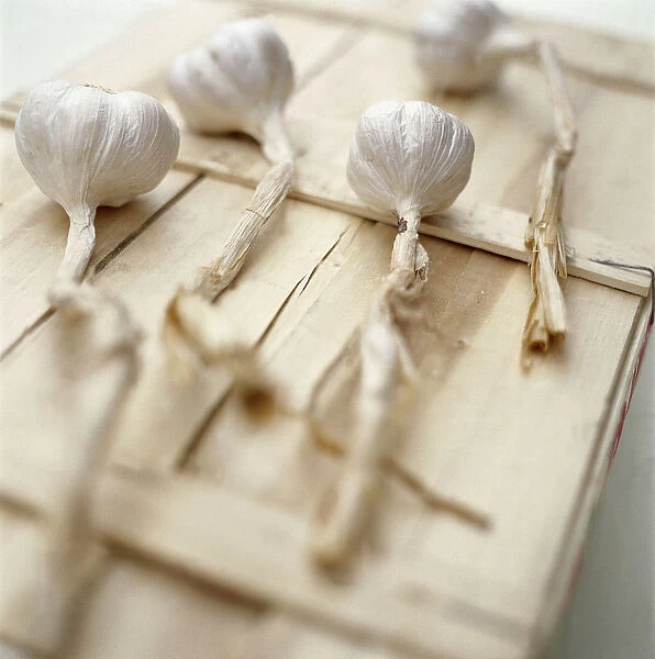 Drying garlic bulbs on wooden box