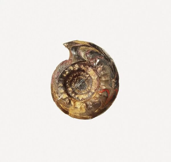 Ear ornament, final Jomon period, terracotta