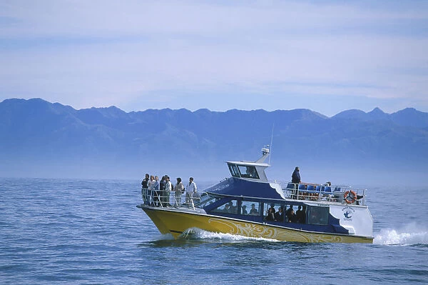 Eco-Tourism boat on the waters off the Kaikoura coast, looking for a pod of sperm whales, South Island, New Zealand