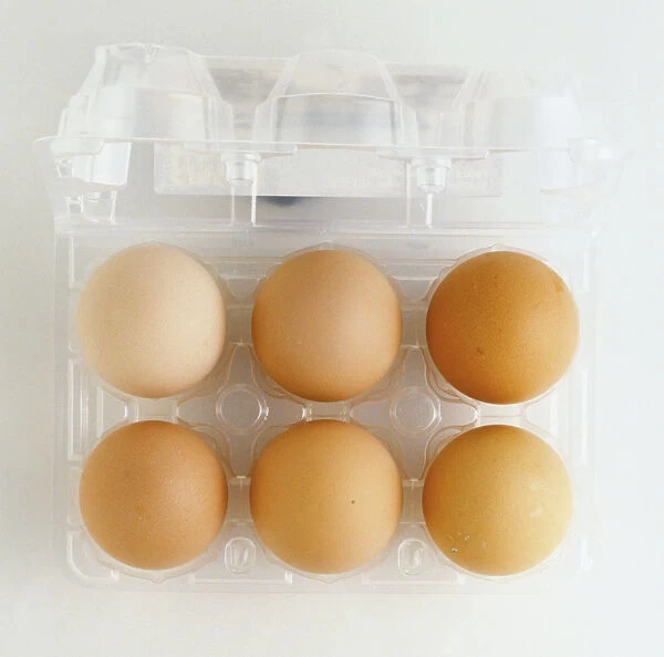 Eggbox full of free range eggs