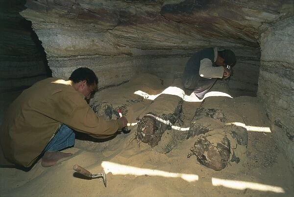 Egypt, Bahariya Oasis, Valley of the Golden Mummies. New excavations, brushing the sand from the mummies