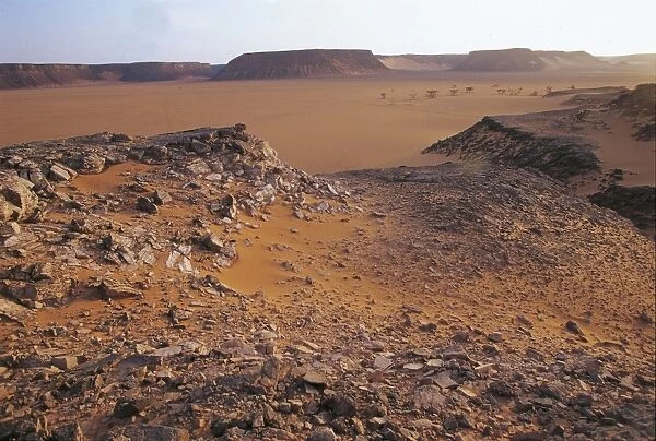 Egypt, Western Libyan Desert, Wadi Abd El-Malik, landscape