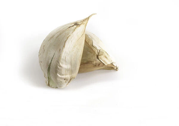 Elephant garlic on white background