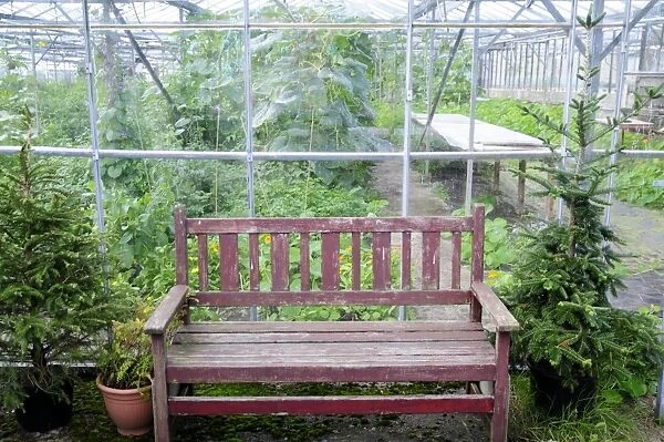England, Lancashire, Wooden bench by greenhouse