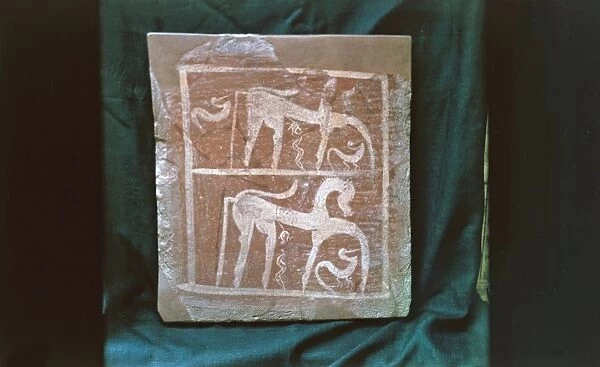Etruscan painted tile depicting horses