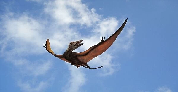 Eudimorphodon in flight