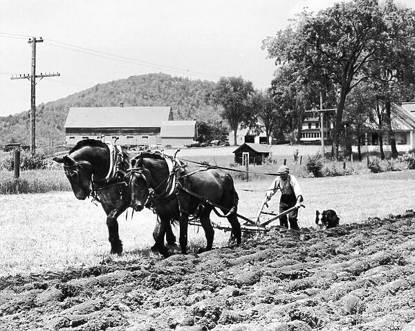Farmer steering plow pulled by two horses