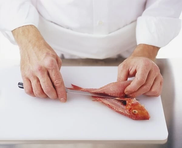 Filleting a red mullet cutting from head to tail