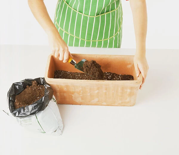 Filling a clay window box with soil