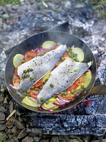 Fish fillets and vegetables cooking in pan on camp fire