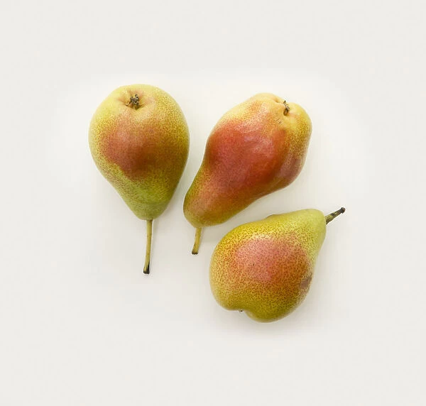 Three forelle pears, close-up