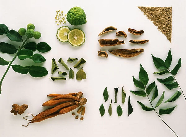 Forms of the Spices: Kaffir Lime, Lesser Galangal, Kempferia Galangal, Mango Powder, and Curry Leaf