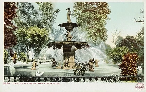 Fountain in Forsyth Park, Savannah, GA. Postcard. 1904, Fountain in Forsyth Park, Savannah, GA. Postcard