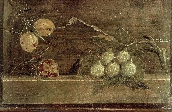 Fragments from fresco depicting still-life with figs