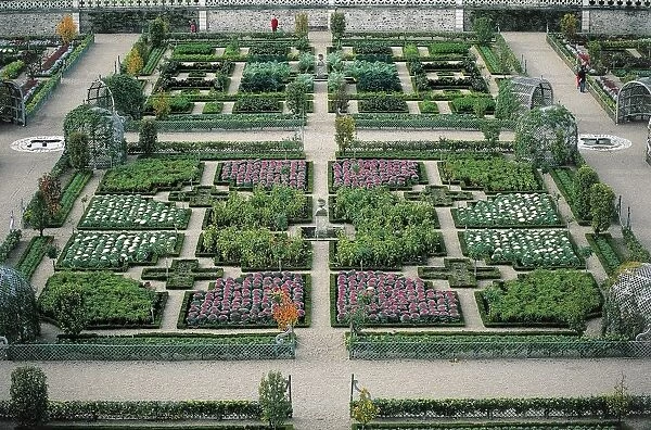 France, Centre, Loire Valley, Villandry Castle, gardens
