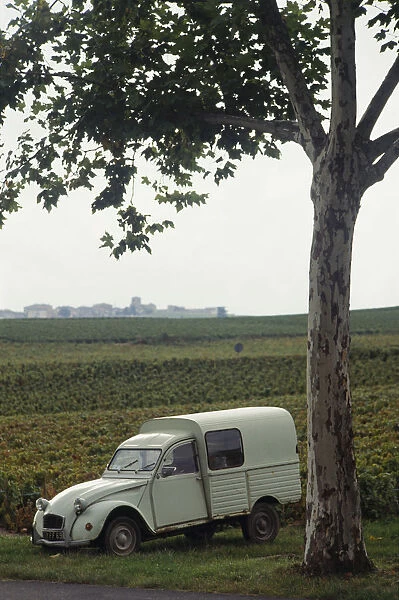 France, Citroen 2CV van parked next to tree at edge of vineyard