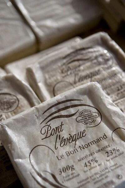 France, Normandie, Pays d Auge, Close-up of Pont l Eveque cheese