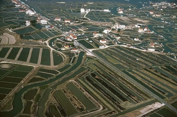 France, Poitou Charentes, Aerial view of oyster farming along Seudre river estuary