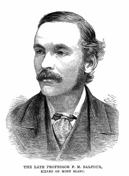 Francis Maitland Balfour (1851-1882) Scottish-born British embryologist: brother of AJ Balfour
