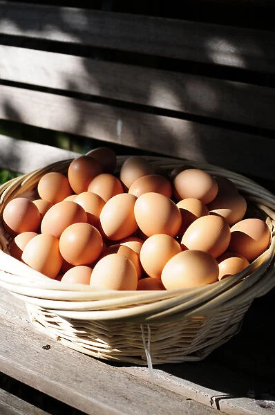 Free range eggs in basket