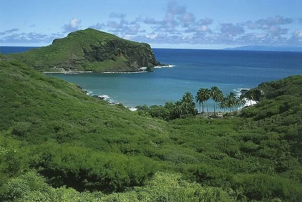 French Polynesia, Marquesas Islands, tropical vegetation at Shark Bay on Ua Pou Island