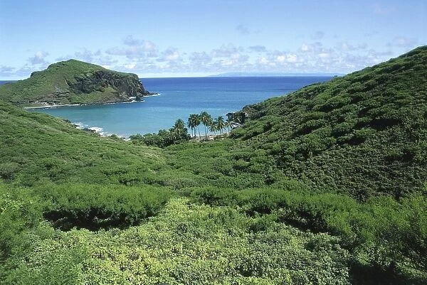 French Polynesia, Marquesas Islands, tropical vegetation at Shark Bay on Ua Pou Island