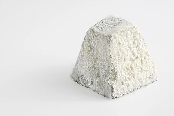 French Valencay AOC goats cheese