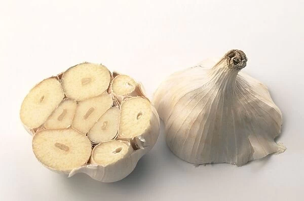 Fresh garlic head cut across into halves, close-up