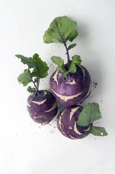 Fresh purple kohlrabi with leaves