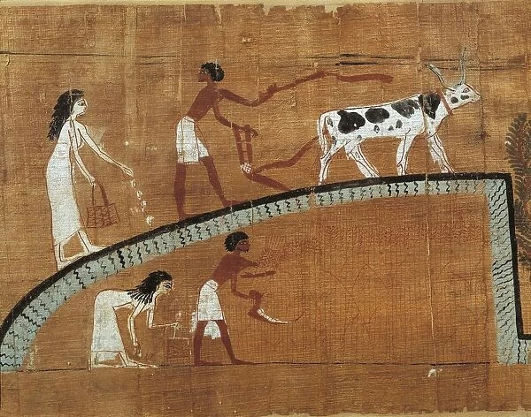 Funerary papyrus of Heruben with scene of agricultural work, Egyptian civilization