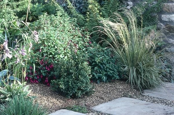 A garden showing the use of gravel to control weeds