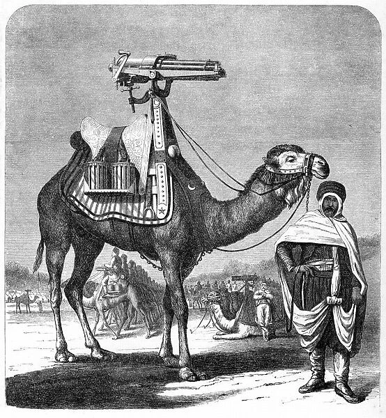 Gatling rapid fire gun (1861-62): Camel-mounted model. From The Science Record New York, 1862