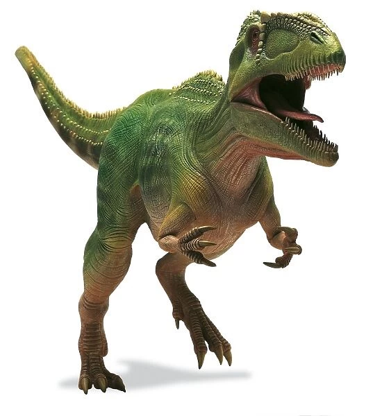 Giganotosaurus, giant southern lizard