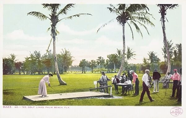 Golf Links Palm Beach, Fla Postcard. 1904, Golf Links Palm Beach, Fla Postcard