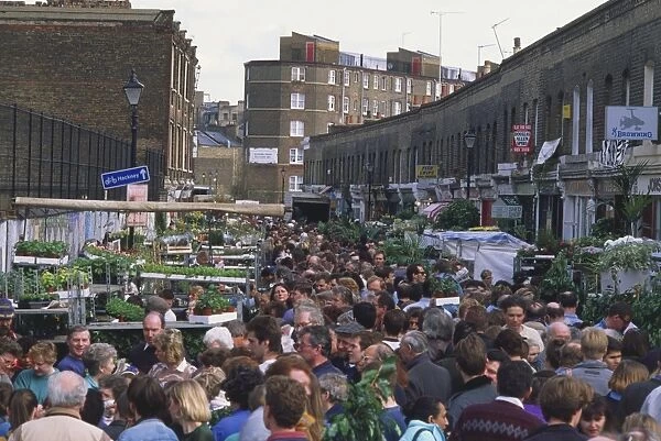 Great Britain, England, London, Columbia Road, crowded flower market, elevated view