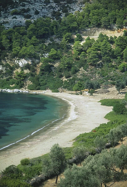 Greece, Skyros, azure waters and tree-lined sand of Pefkos beach