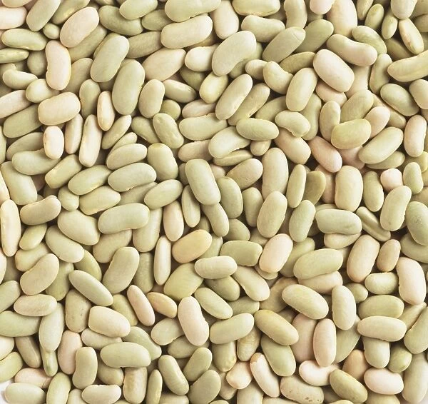 Green flageolet beans, close up